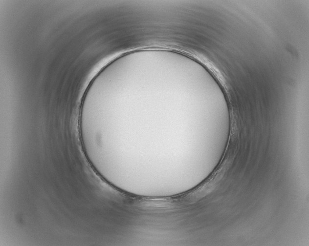 X0000115691486200912101143