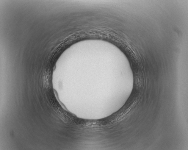 X0000115691490200912101143