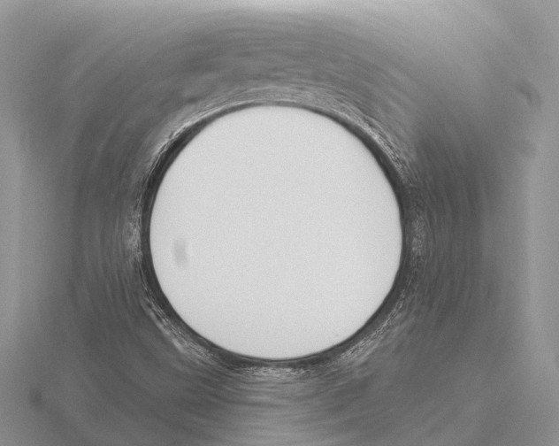 X0000115691499200912101143