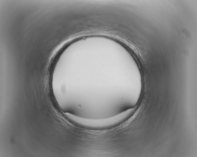 X0000115691502200912101143