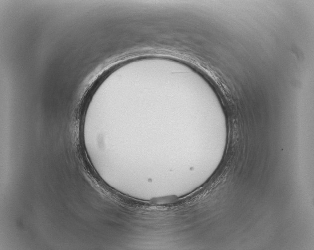 X0000115691503200912101143