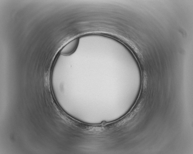 X0000115691513200912101143