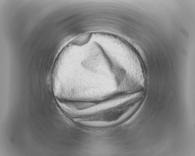 X0000115691529200912101143