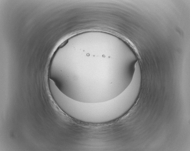 X0000115691530200912101143