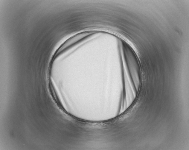 X0000115691533200912101143