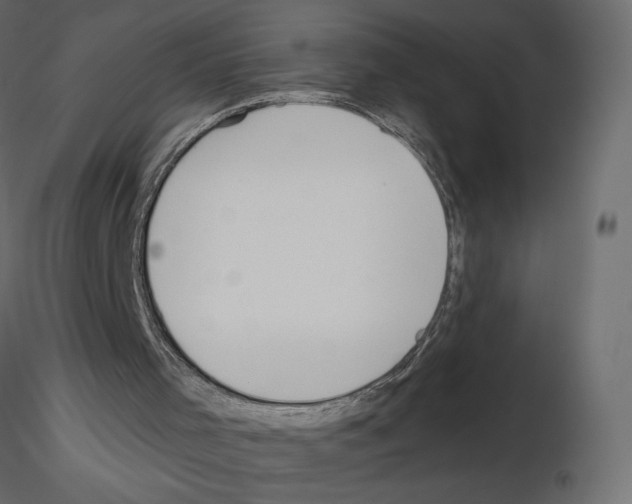 X0000115690001200912241511