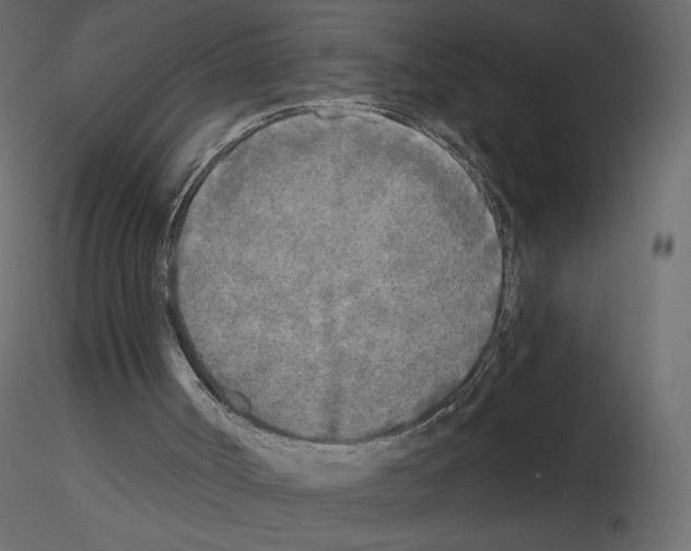X0000115690002200912241511