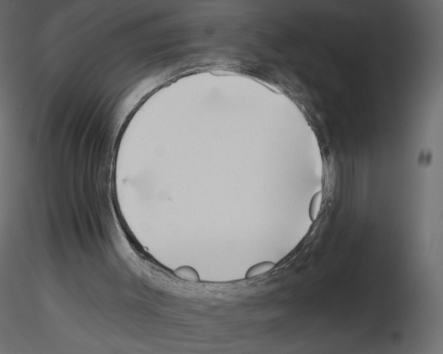 X0000115690003200912241511