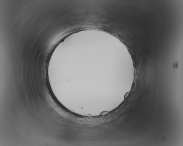 X0000115690005200912241511