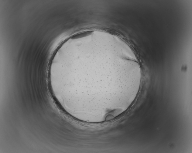 X0000115690006200912241511