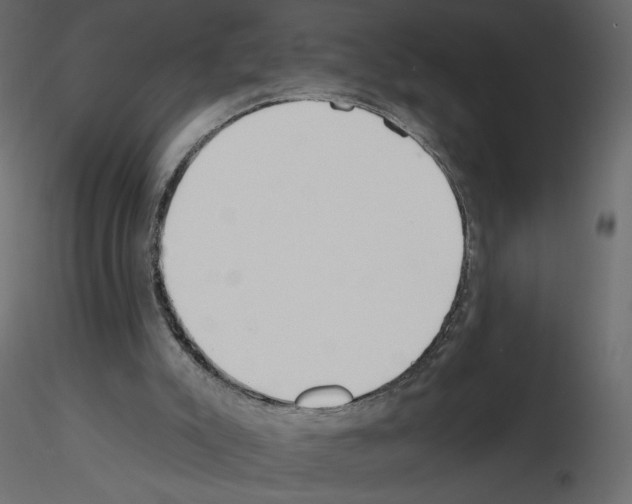 X0000115690007200912241511