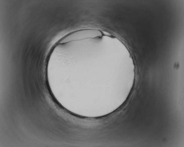 X0000115690008200912241511