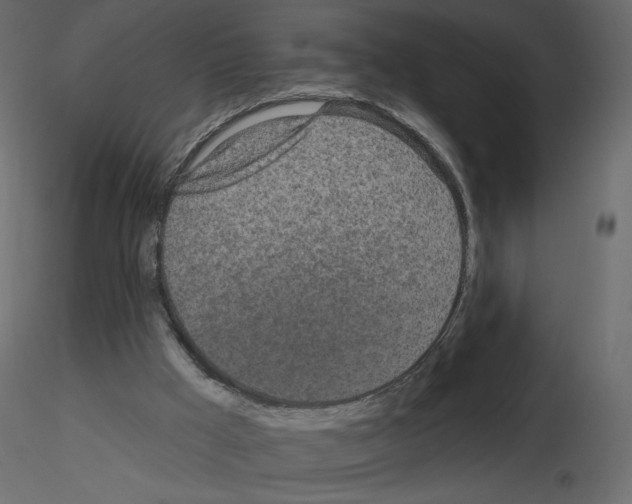 X0000115690009200912241511