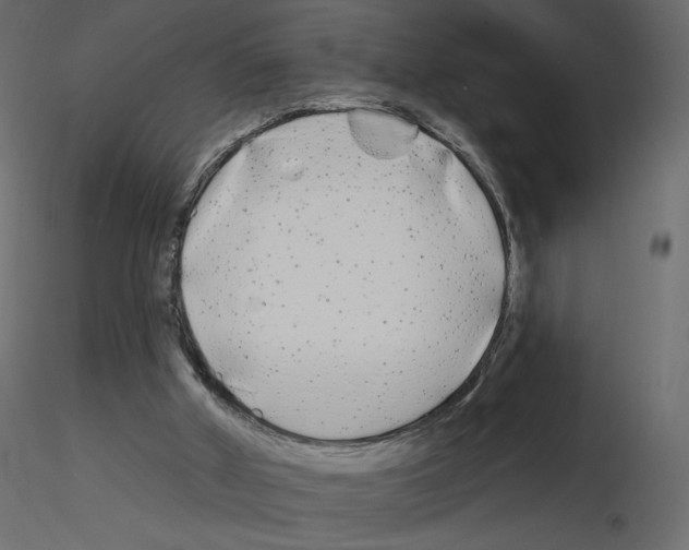 X0000115690010200912241511