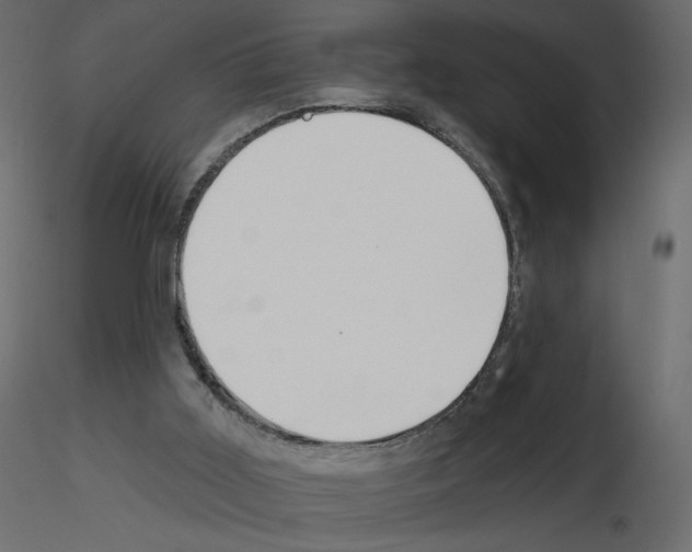 X0000115690011200912241511