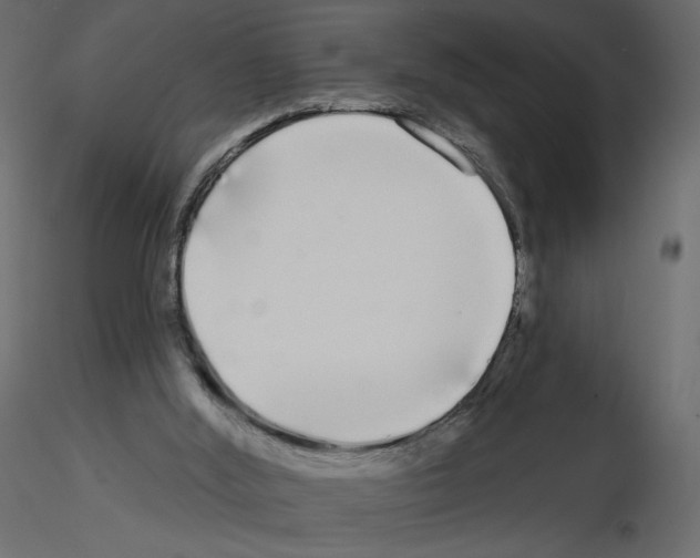 X0000115690012200912241511