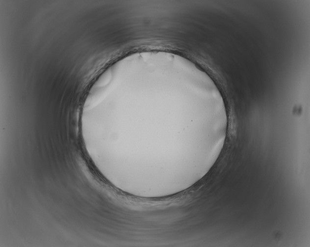 X0000115690014200912241511
