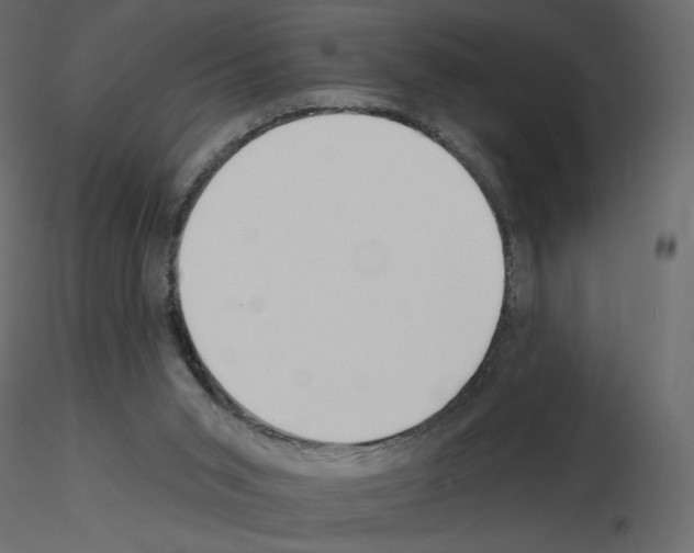 X0000115690015200912241511