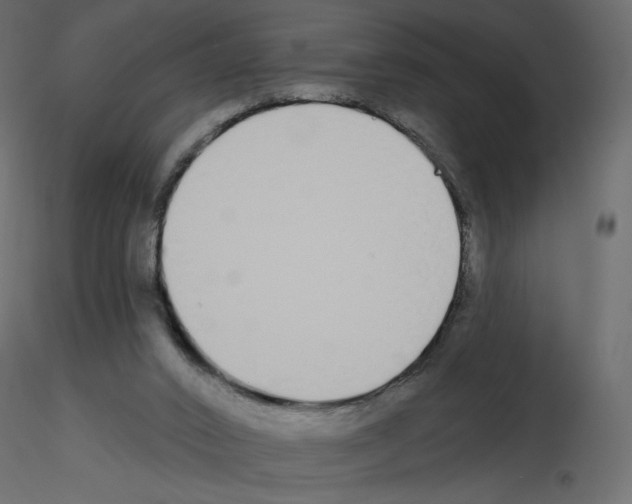 X0000115690016200912241511