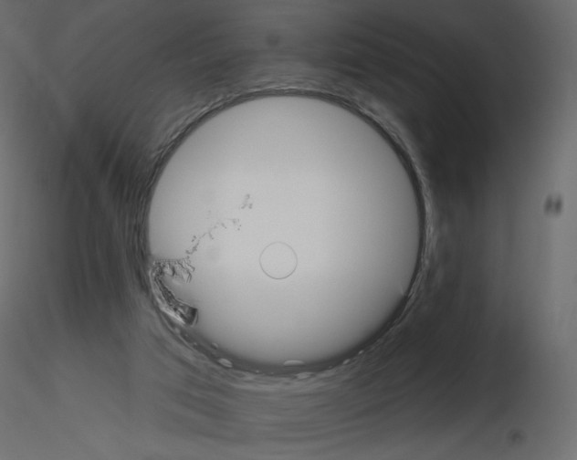 X0000115690017200912241511
