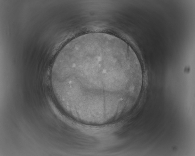 X0000115690018200912241511