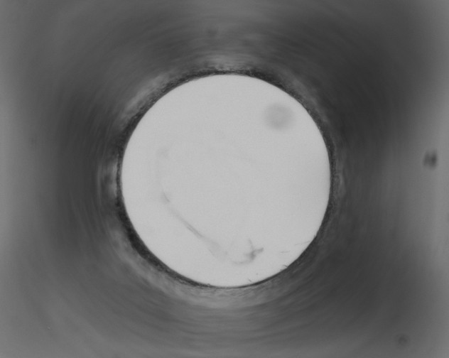 X0000115690019200912241511