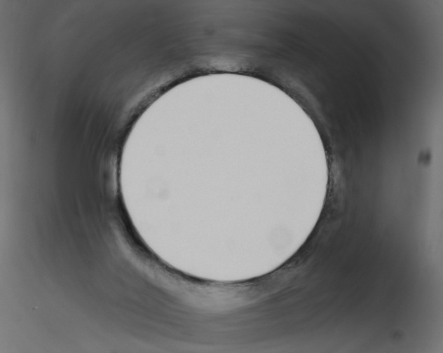 X0000115690020200912241511