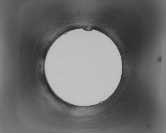 X0000115690021200912241511
