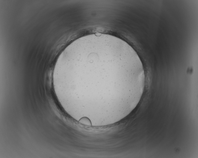 X0000115690022200912241511