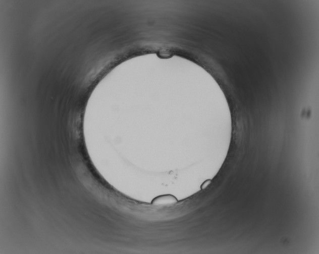 X0000115690023200912241511