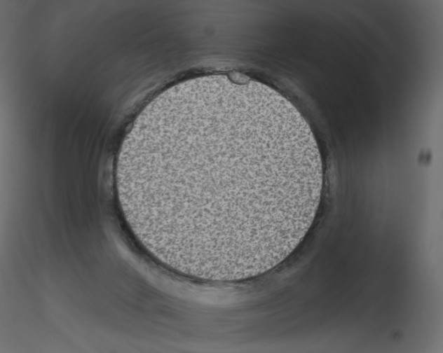 X0000115690024200912241511