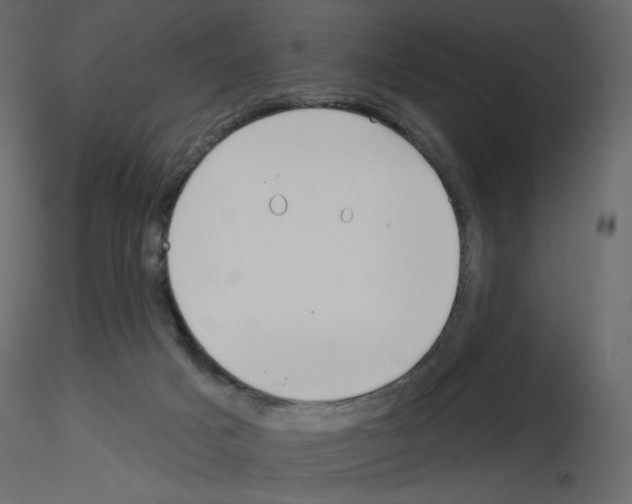 X0000115690025200912241511