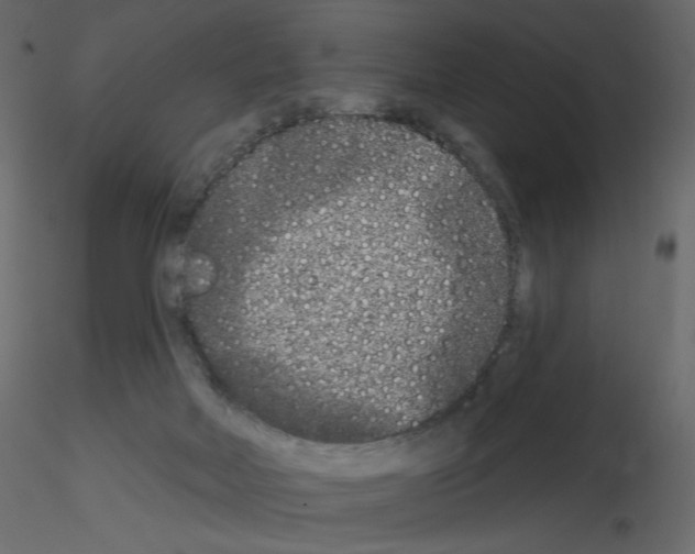 X0000115690026200912241511