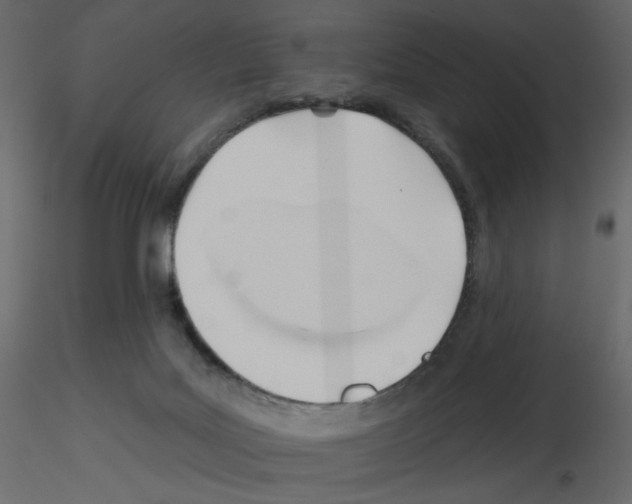 X0000115690027200912241511