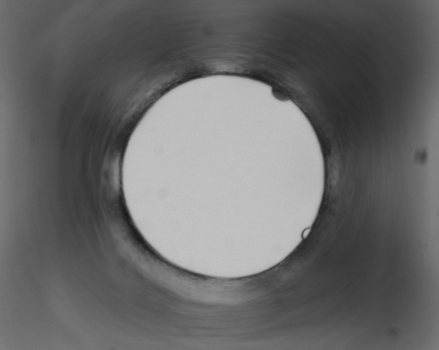 X0000115690028200912241511