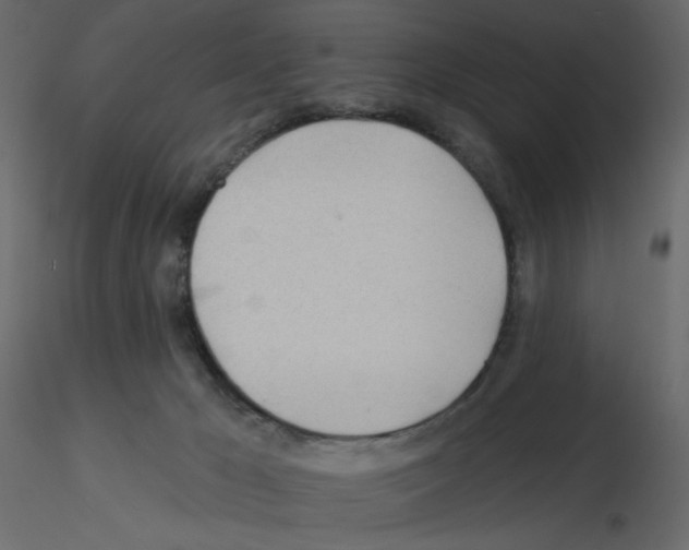 X0000115690029200912241511