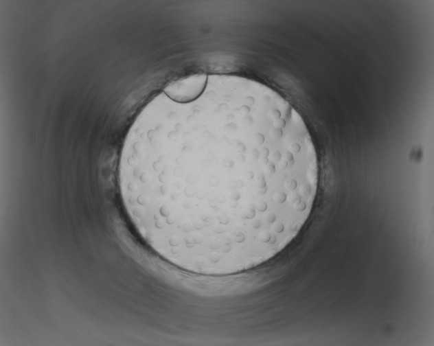 X0000115690030200912241511