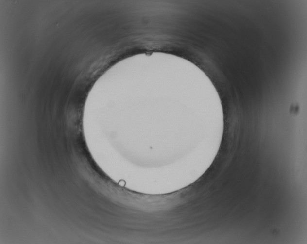 X0000115690031200912241511