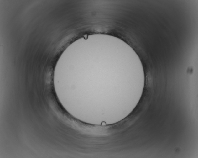 X0000115690032200912241511