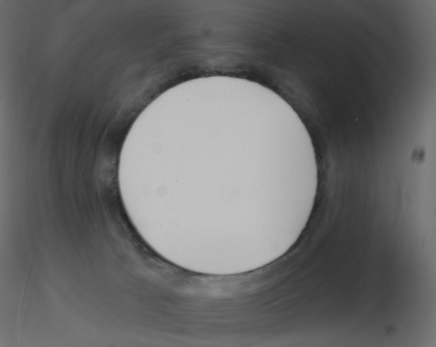 X0000115690033200912241511