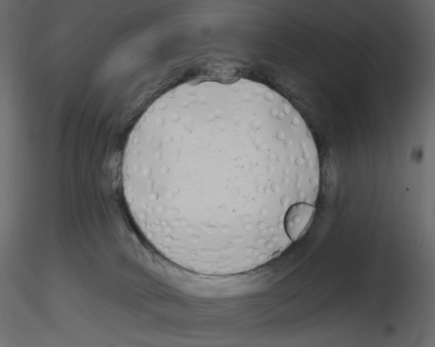 X0000115690034200912241511