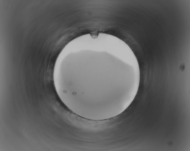 X0000115690035200912241511