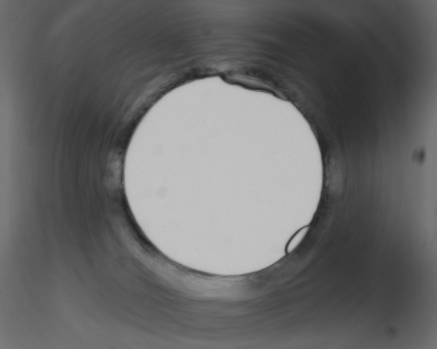 X0000115690036200912241511
