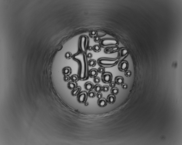 X0000115690037200912241511