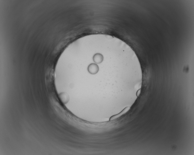 X0000115690038200912241511