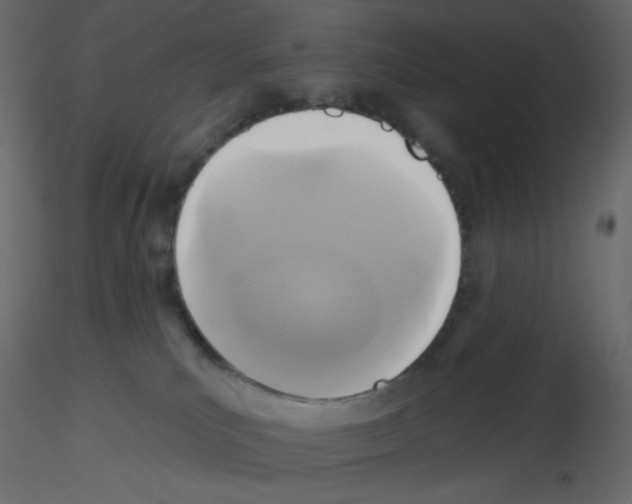 X0000115690039200912241511