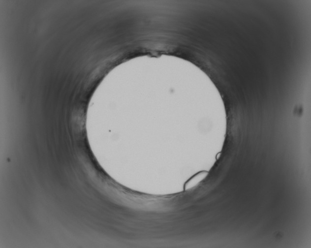 X0000115690040200912241511