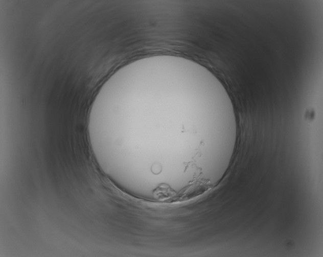 X0000115690041200912241511