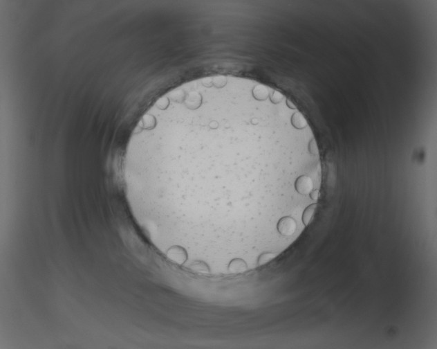 X0000115690042200912241511