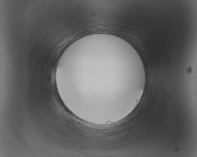 X0000115690043200912241511